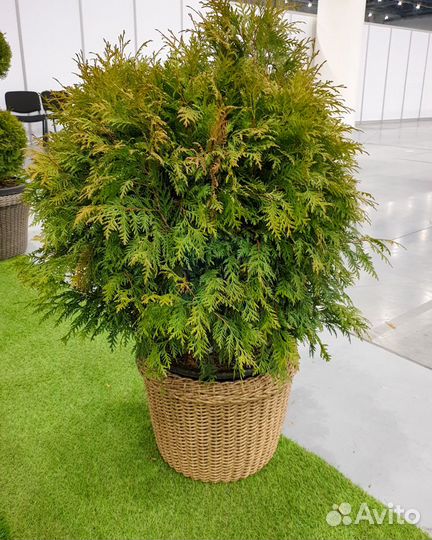 Кашпо плетеное из экоротанга