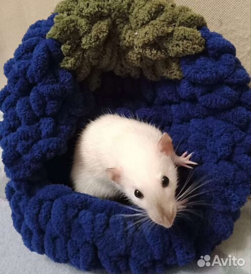 Лежак для кота/ домик для крысы