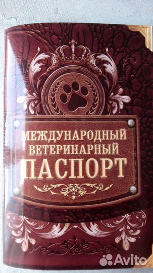 Котята невские маскарадные