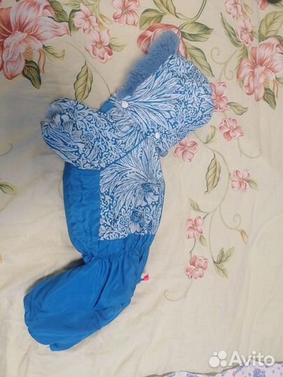 Зимний комбинезон formydogs