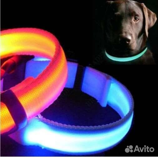 Светодиодный ошейник