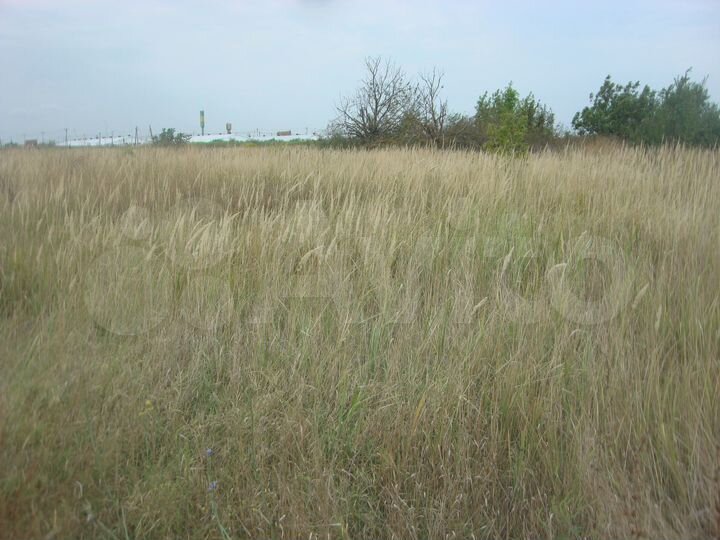 Участок 10 сот. (СНТ, ДНП)