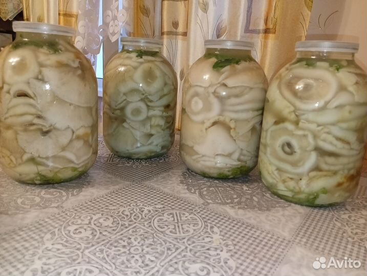 Грузди соленые 2023 года