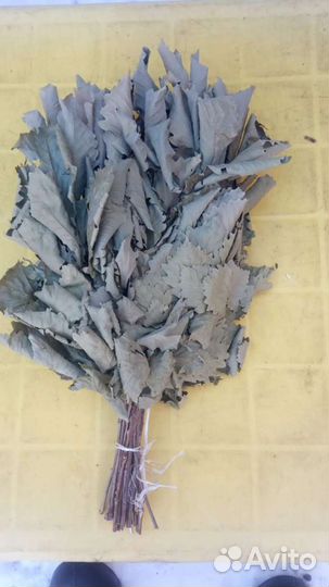 Веники дубовые и др