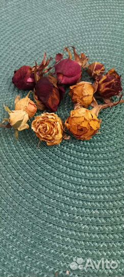 Бутоны роз. Сухоцвет. Творчество