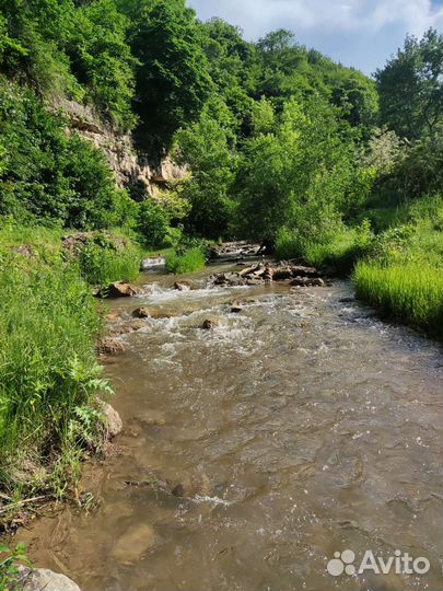 Трансфер межгород