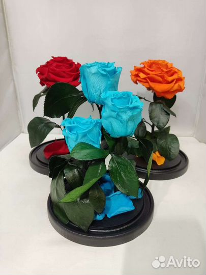 Роза в колбе оптом