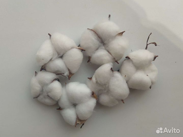 Хлопок натуральный