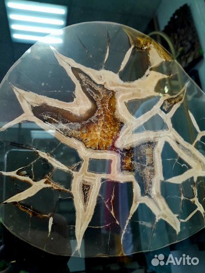 Септария. Драконий камень.Уникальный образец панно