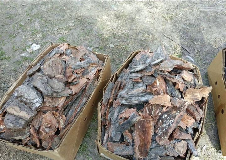 Мульча сосновая кора