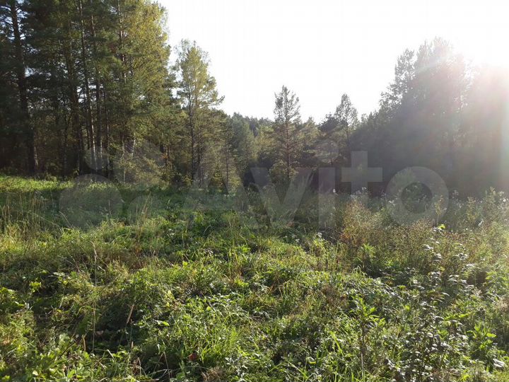 Участок 1,9 га (СНТ, ДНП)