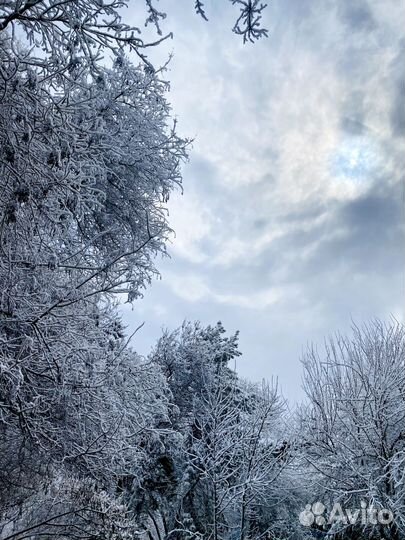 Земля чернозем в мешках