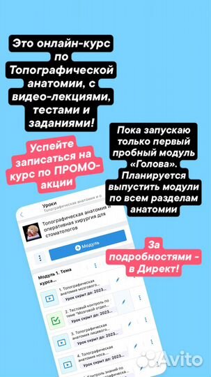 Репетитор по анатомии/топографической анатомии