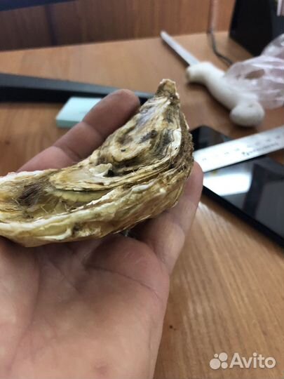 Крымские морепродукты