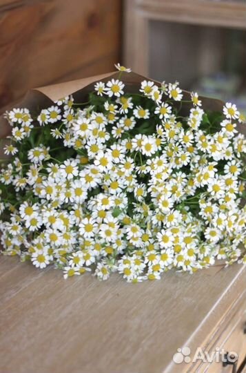 Большой букет из матрикарии