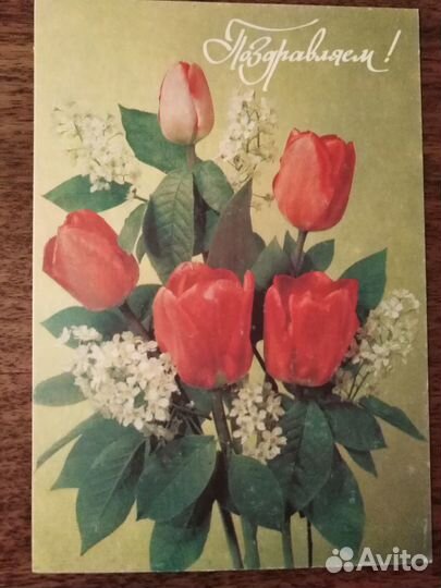 Открытка СССР