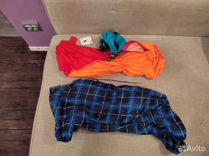 Одежда для собак