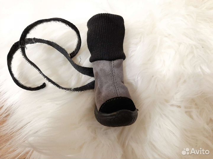 Ботинки для собак