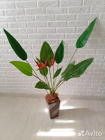 Искусственные цветы/Пальма/Стрелиция