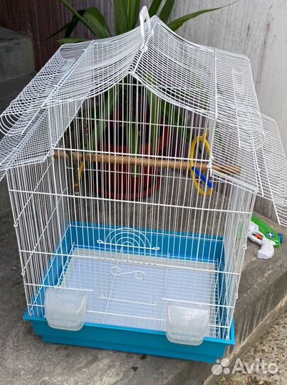Клетка для птиц