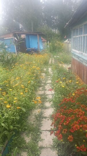 Дача 30 м² на участке 4 сот.