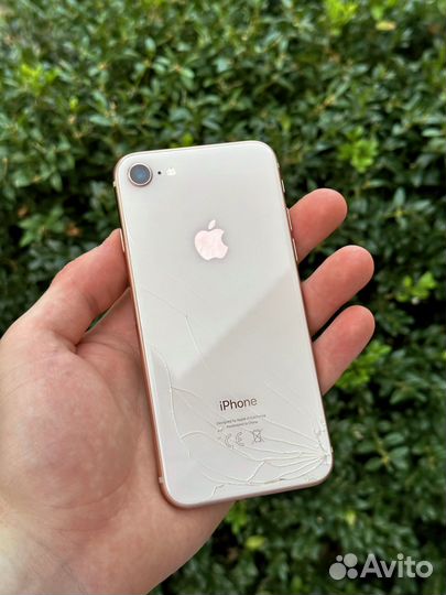 iPhone 8 64gb ростест