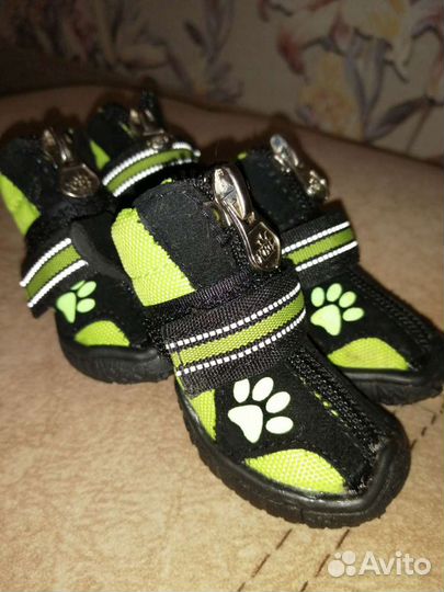 Ботинки для маленьких собак