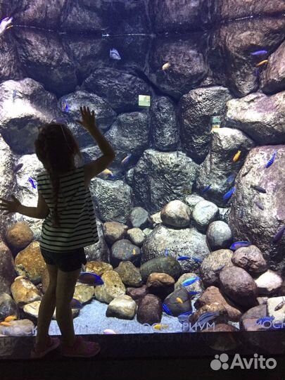 Няня для ребёнка почасовая, на 1-2-3 дня в неделю