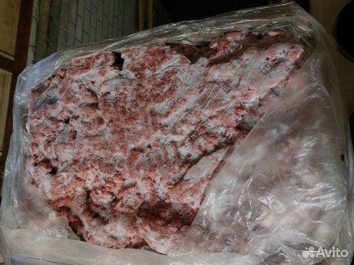 Корм для собак