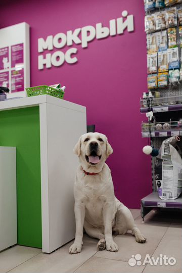 Продавец-консультант зоотоваров