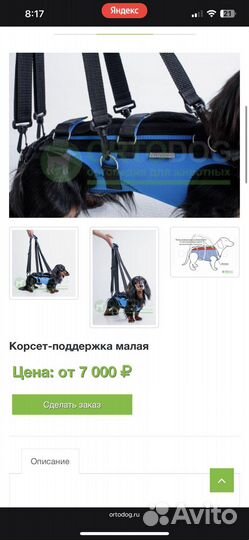 Корсет для собак