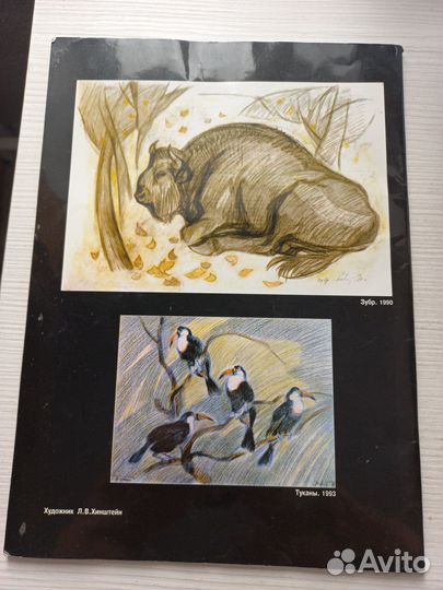 Журнал В мире животных 5 за 1998 г