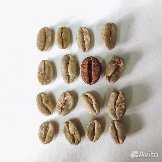 Обучение бариста