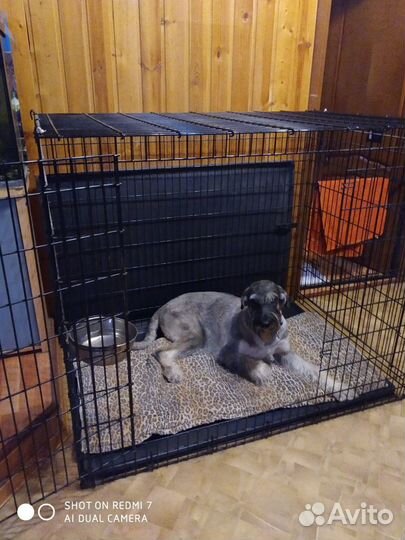 Клетка для собак Midwest Solutions SL54DD