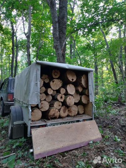 Дрова дубовые