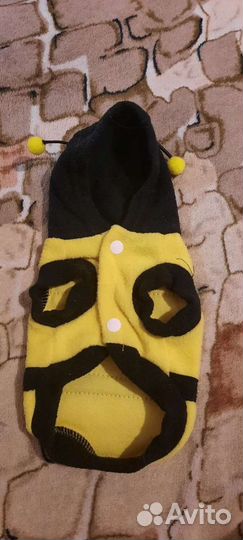 Костюм для кошки или собачки