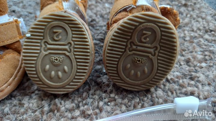 Обувь для животных