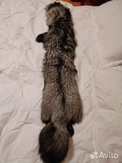Шкурка чернобурки