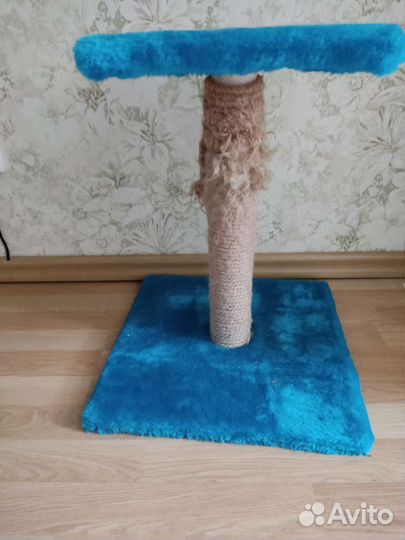 Когтеточка для кошек бу, торг