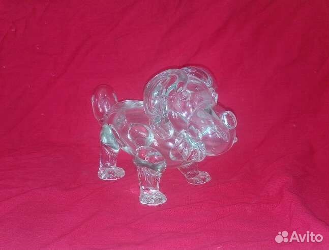 Собака -стекло