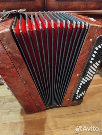 Баян Тула 202