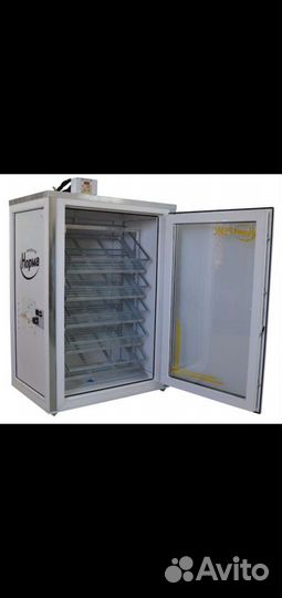 Инкубатор Норма Рейс