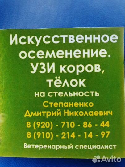 Искуственное осеменение
