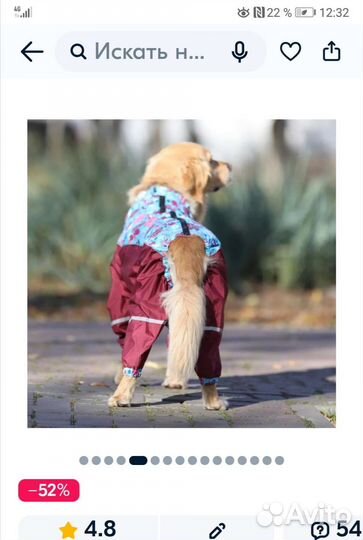 Одежда для собак. Комбенизон (для девочки)