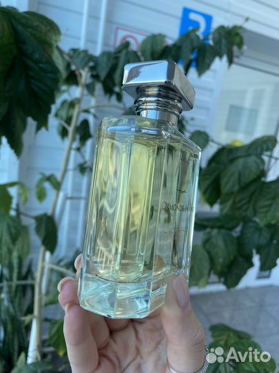 Ormonde jayne montabaco