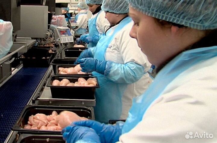 Оператор линии. Чистый цех (вахта)