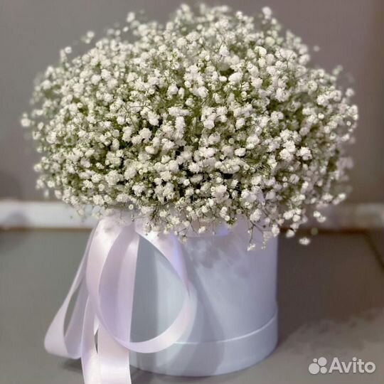 Букет из гипсофилы в коробке