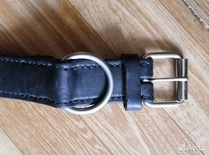 Ошейник для собак