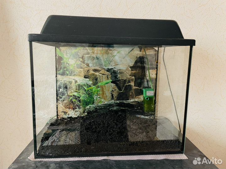 Аквариум со всеми принадлежностями