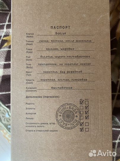 Мягкая игрушка кот басик